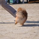 이천공설운동장 이미지