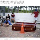 엘코시스템 이미지