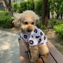 호치민칼디커피 이미지