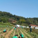 영문2리 이미지