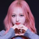 핑크헤어 이미지