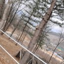 금옥(광산구) | 금옥골 숲속작은마을 &amp;산책부터 캠핑 승마까지