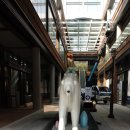 타워모스트부동산공인중개사사무소 이미지