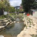 승소닭갈비 이미지