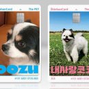 신한동물병원 이미지