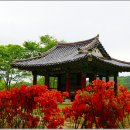 양요정 이미지