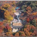 삼성사 Daum카페