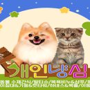 (유)제이엠물류 이미지