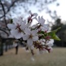 스마트폰활용기초 이미지