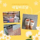네일바르당