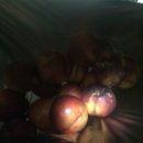 삼산농산물