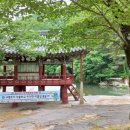 동호정 | 함양 동호정 후기