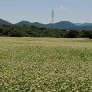 동광농촌체험휴양마을 이미지