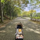 울산공업학원 울산대학병원 | 1. (두번째) 분양권 매매(전매)계약 후기_ 울산 옥동, 신정동 지역분석