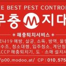 개미원룸관리