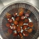 미림농장 | 6개월 살아보는 서배너 이야기 | 조지아주 주재원 배우자 일기(Week24)