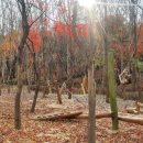 인헌동-29 아시아경제