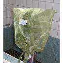 H-085 | [🛍️] 잡화 | 크기 딱 좋은 포테 하이드슬롯 클래식 백팩 라지 차콜, POTE backpack charcoal (L)