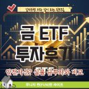 ETF 투자가 가장 쉬웠어요 | 금 투자 ETF 후기, 안전자산 맞을까? 실물 금투자와 비교