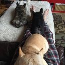 몽글몽글 이미지