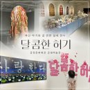 금샘 | 부산 아이와 가볼 만한 곳｜33개월 아기와 금샘미술관 ‘달콤한 허기’ 전시 솔직후기