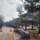 화석(규화목) | [구미]경상북도 환경연수원 산책로_금오산 후기