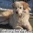 쉼터마당 이미지