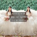 웨딩 사진 사설 보정 업체 [블레스어스 스냅] 후기