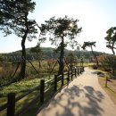 북서울꿈의숲 이미지