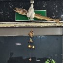 아리랑다방 이미지