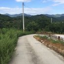 백운면 2040 이미지