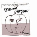 은십자 | [십자인대 수술 후기③] 수술 1주차 각도·통증·재활 리얼 후기 총정리