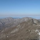 제 311차 토요산악회(천안/아산)산행안내- 2010년 03월 20일 전남 광양 백운산(1218m) 이미지