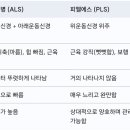 피엘에스 (PLS)