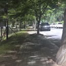 파워풀뉴스,경주시 용강동 주민 위해 천북면의 신속한 대응 이미지