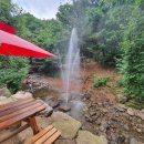 반딧불농원 이미지