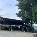 근원목장 이미지