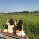 강변유치원 이미지