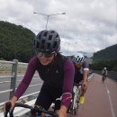 버들1길 이미지