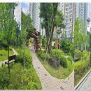 안의소공원 이미지