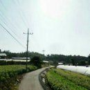 수원-0207 이미지