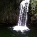 태성렌트카 이미지