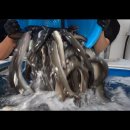 풍천관(경산점) 이미지