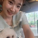 힐링위드독 이미지