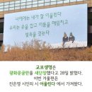 금화천 | 시읽기는 계속된다