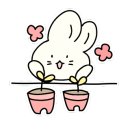 꼬미살롱