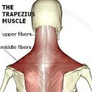 바디원오원 이미지