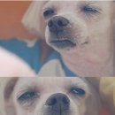 나는예쁘다 Daum카페