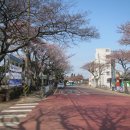 광령초등학교 이미지