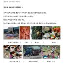 가을민박 이미지